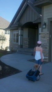 Summer arrives with her yorkie to the parade of homes model home in Plymouth Minnesota