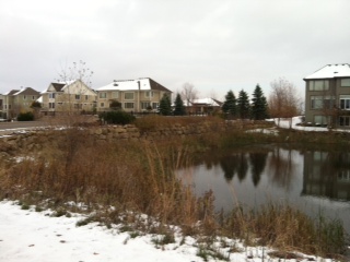 Bridgewater of Medina, new home in Bridgewater of Medina