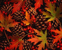 inexpensive ways to decorate for Thanksgiving