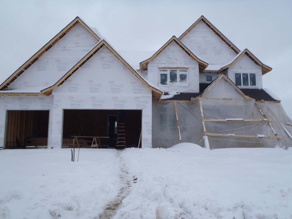 New Home in Spring Meadows of Plymouth MN