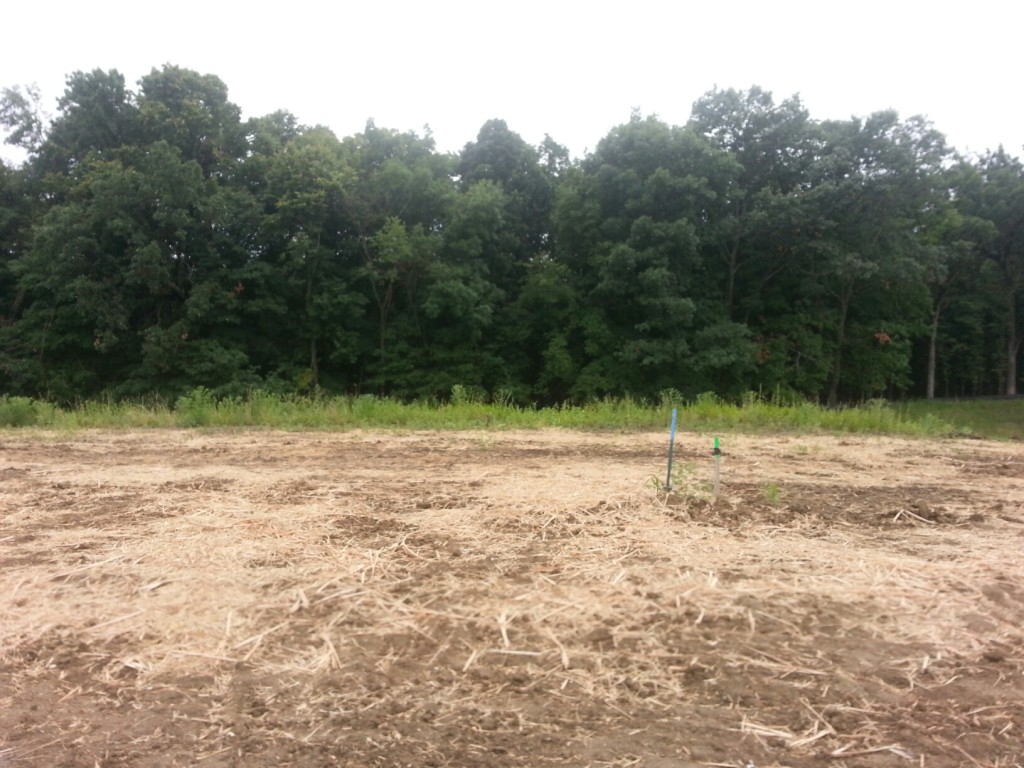 new home start in Terra Vista of Plymouth MN