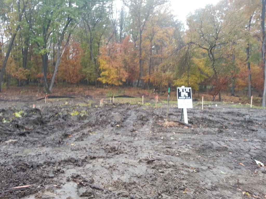 New home construction in O'Donnell Woods 