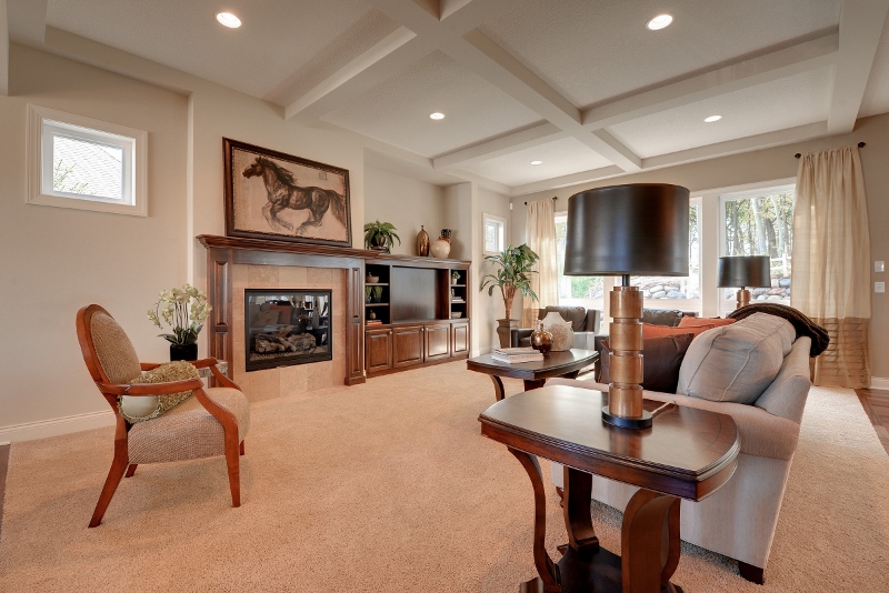 living room VIP Open House in Maple Grove MN