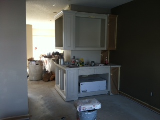custom built home in Terra Vista of Plymouth MN