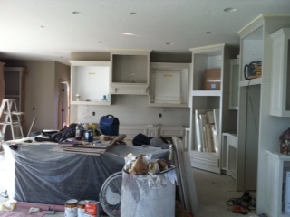 custom built home in Terra Vista of Plymouth MN