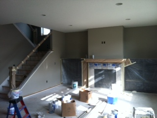 custom built home in Terra Vista of Plymouth MN