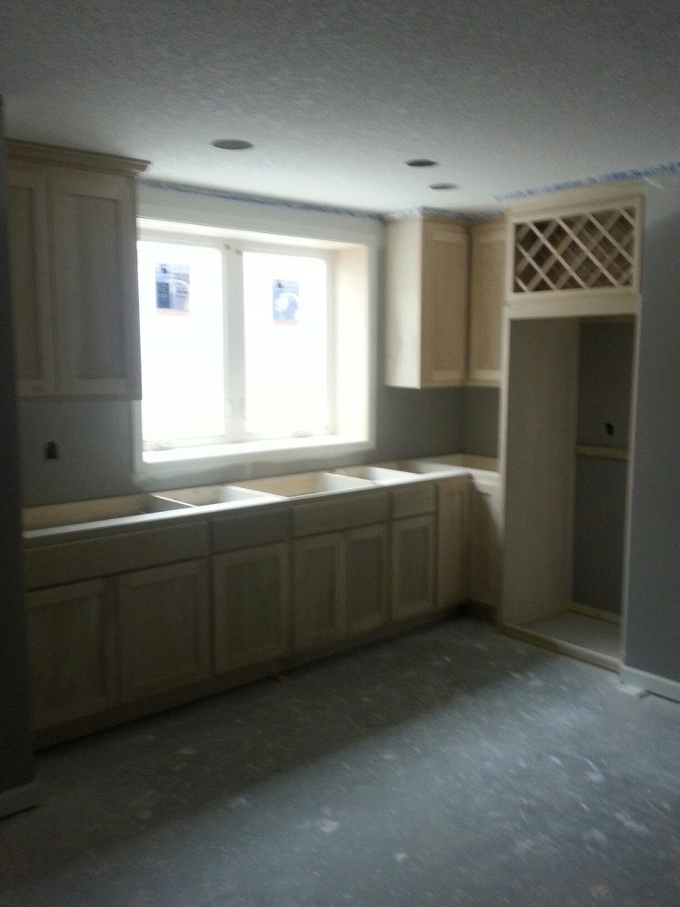 new luxury home for sale in Terra Vista of Plymouth MN