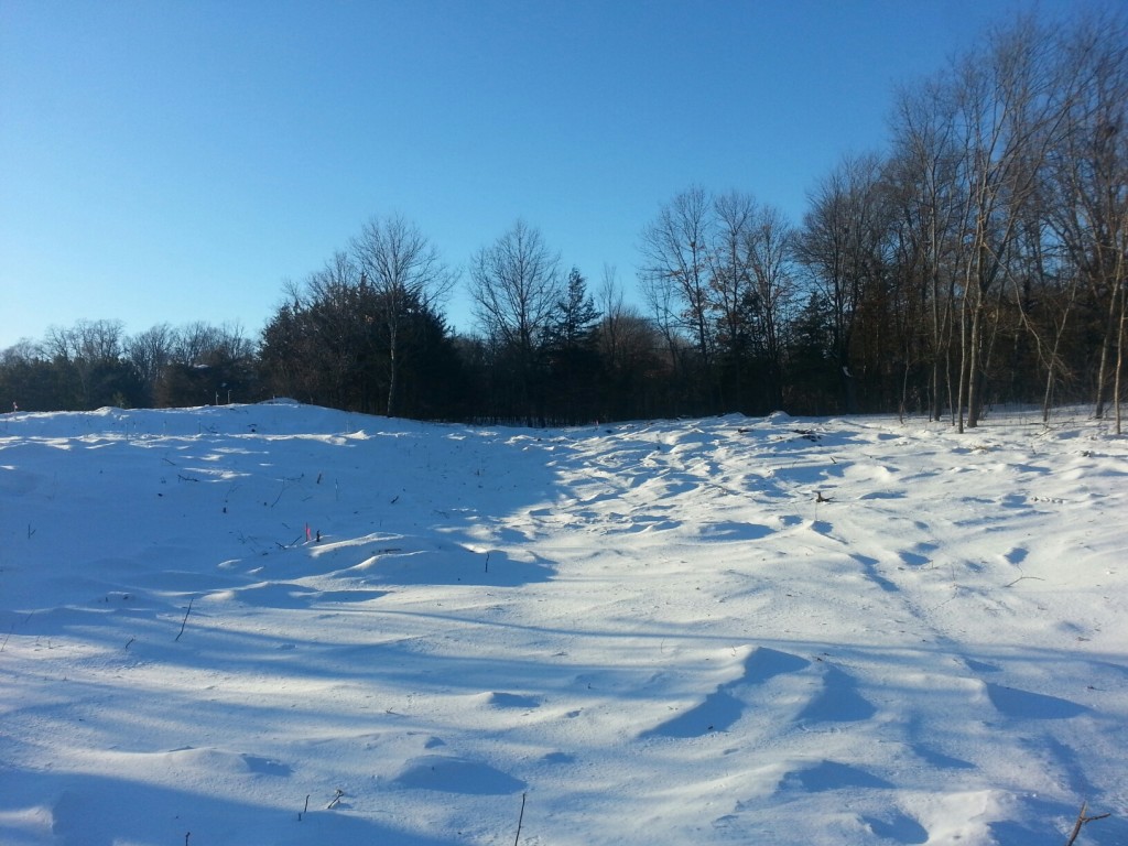new home in Otsego MN, luxury home in Otsego MN