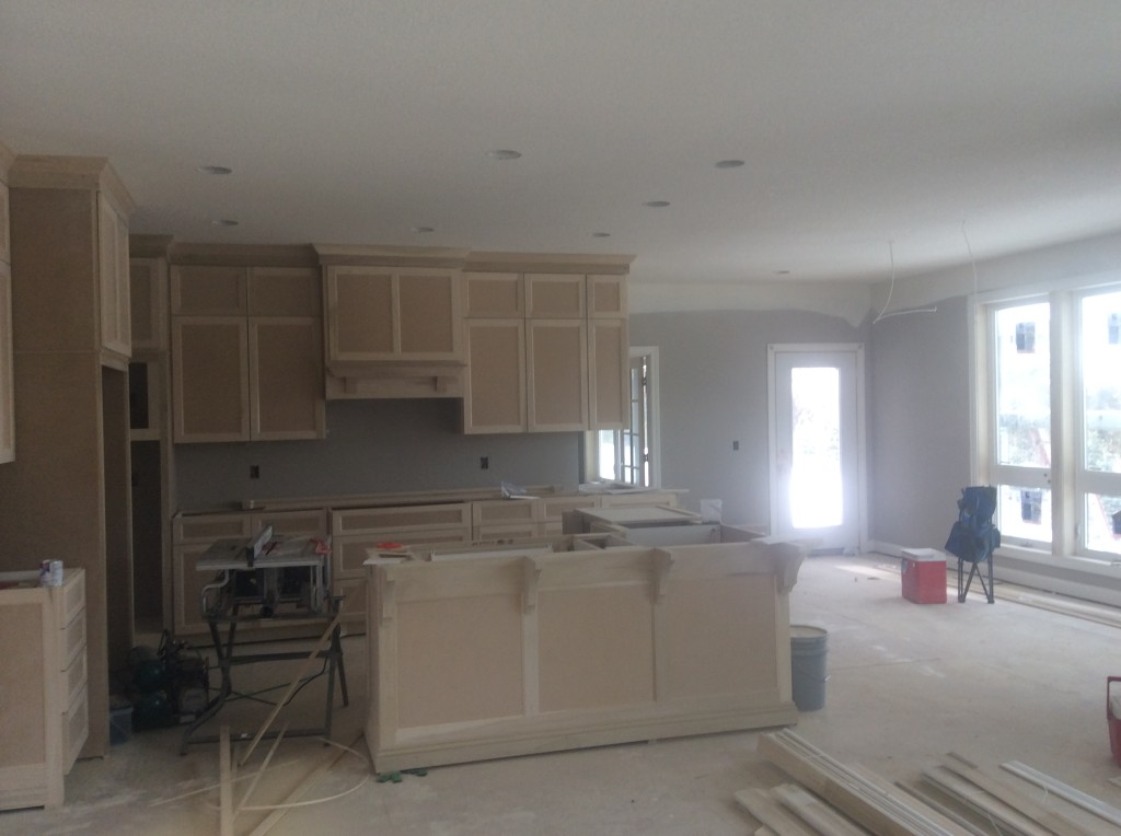 Luxury home in Terra Vista of Plymouth MN