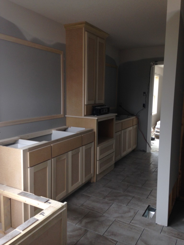 custom home in Forest Hills of Otsego MN