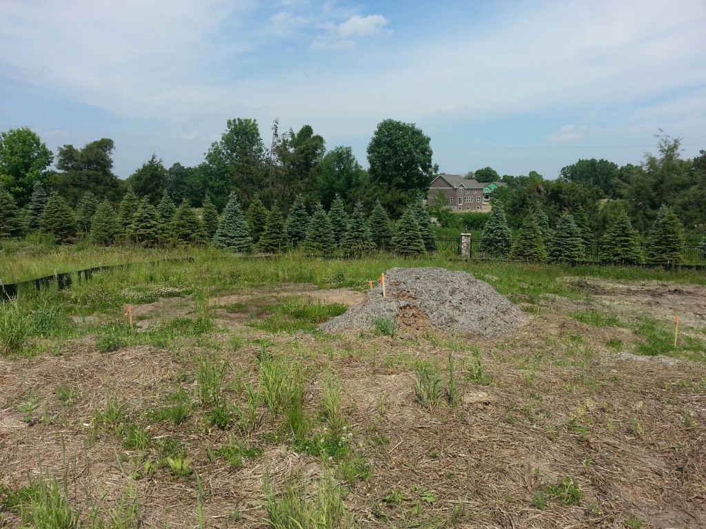 new start in Terra Vista of Plymouth MN