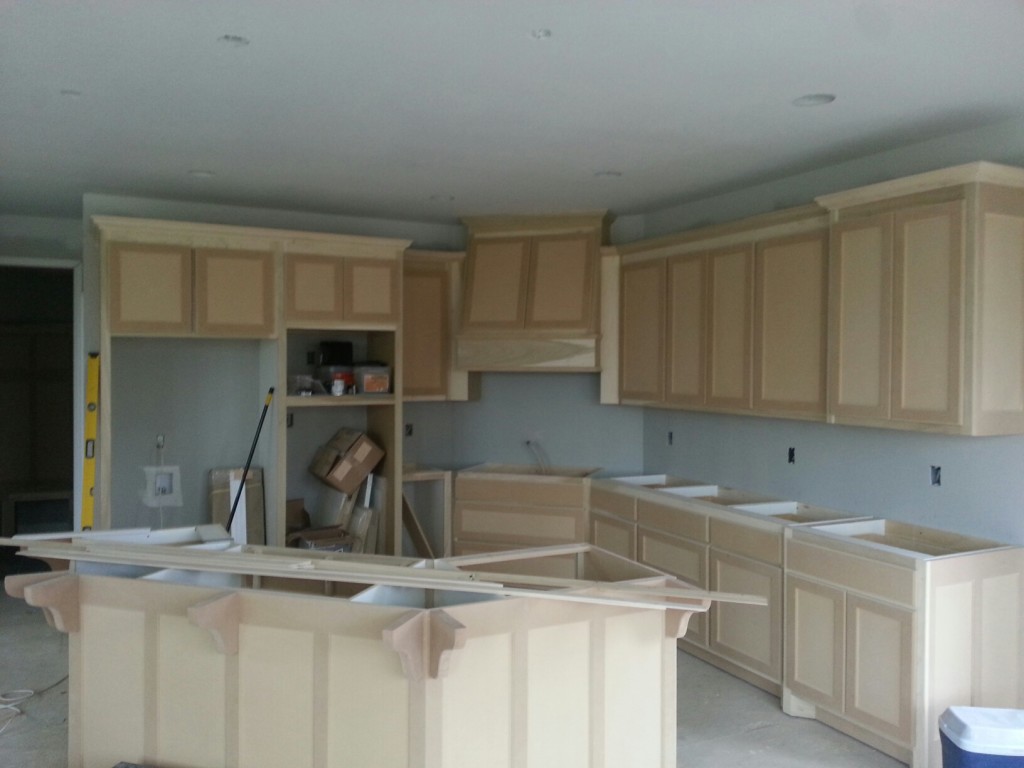 Spec home for sale in Cedarcrest of Maple Grove MN