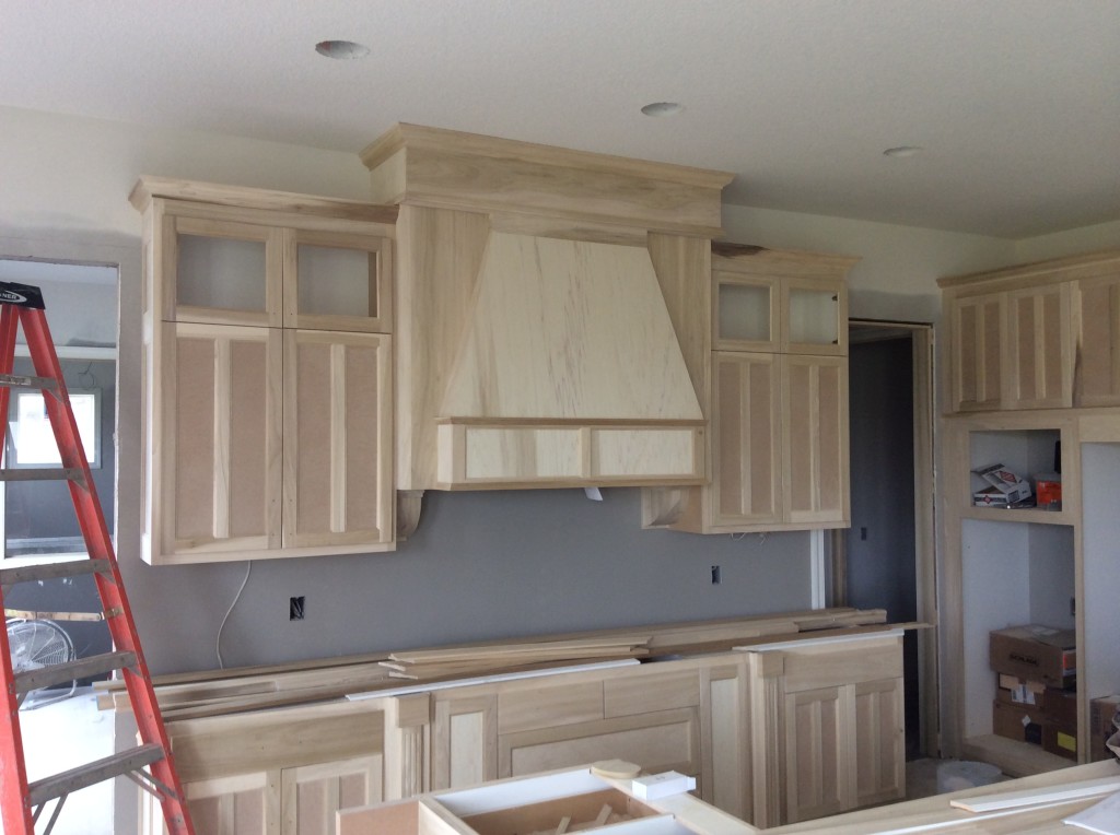 Parade of Homes Model Home by NIH Homes in Terra Vista of Plymouth MN