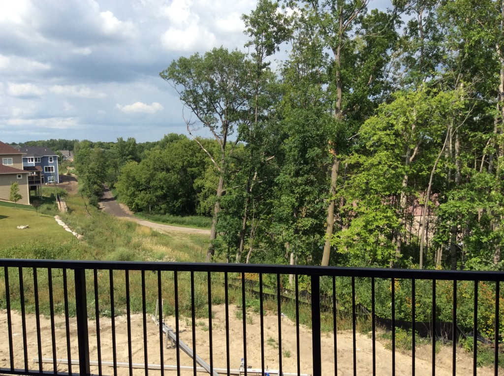 Parade of Homes Model Home by NIH Homes in Terra Vista of Plymouth MN