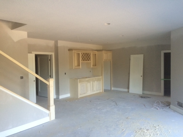 lower level of new home for sale in Plymouth MN