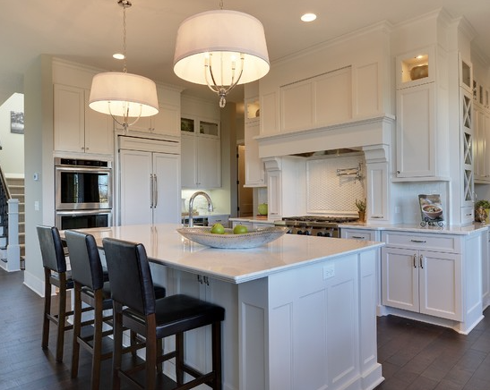 luxury home for sale in O'Donnell Woods of Plymouth MN