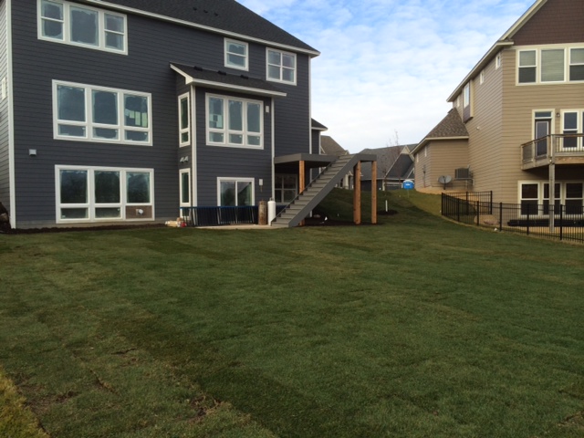 backyard with sod